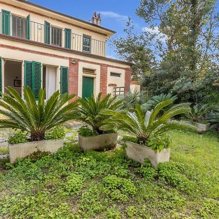 Il Gladiolo - Focette 100Mt From Sea - Happy Rentals Marina di Pietrasanta Εξωτερικό φωτογραφία